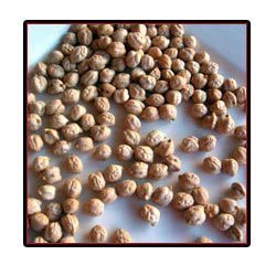 Kabuli Chana