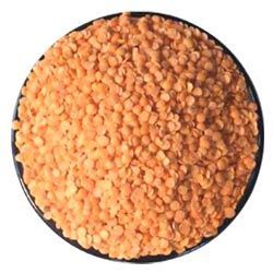 Masoor Dal 